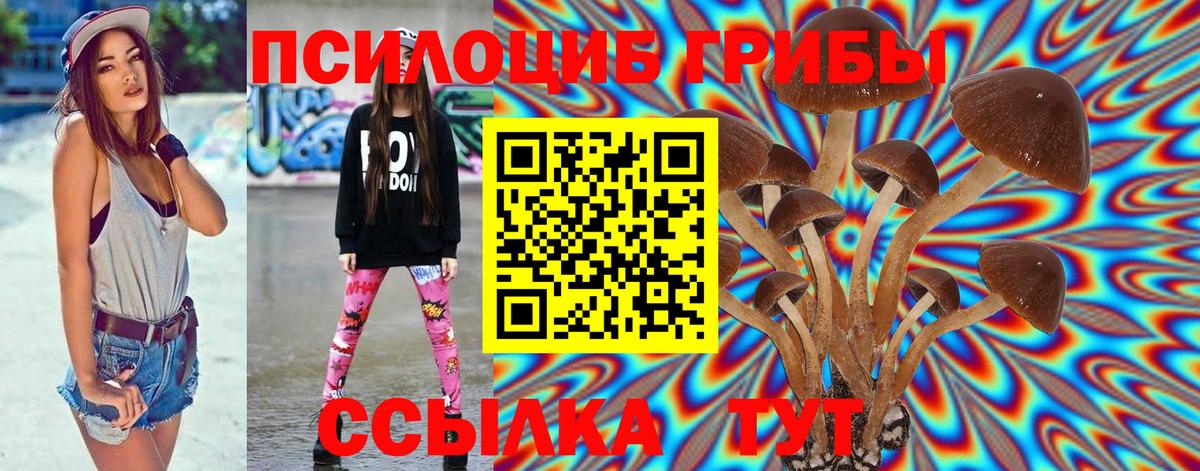 Галлюциногенные грибы мухоморы  купить наркотики сайты  Новодвинск  Псилоцибиновые грибы Psilocybe  Вход с VPN 